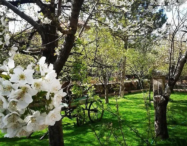 Kapadokya Tas Ürgüp